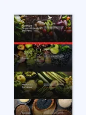 portada portafolio foods kom agencia digital peru   Diseño de landing pages en Lima   Perú